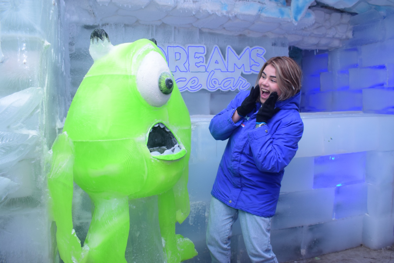 Dreams Ice Bar 