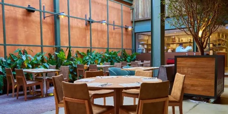 restaurante Modern Mamma Osteria, visível uma mesa com cadeiras e plantas verdes