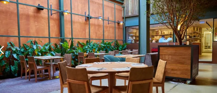 restaurante Modern Mamma Osteria, visível uma mesa com cadeiras e plantas verdes