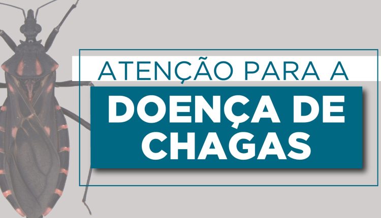 Alerta sobre a doença de chagas prevenção e tratamento