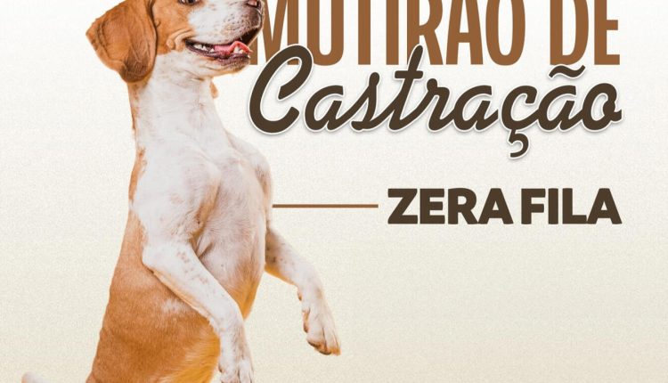 zera_fila_mutirao_castraçao