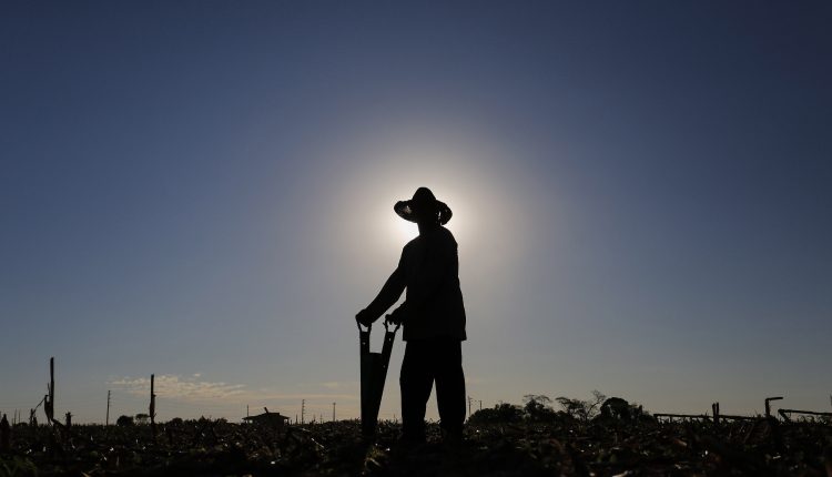 Nota Fiscal do Produtor Rural NFP-e