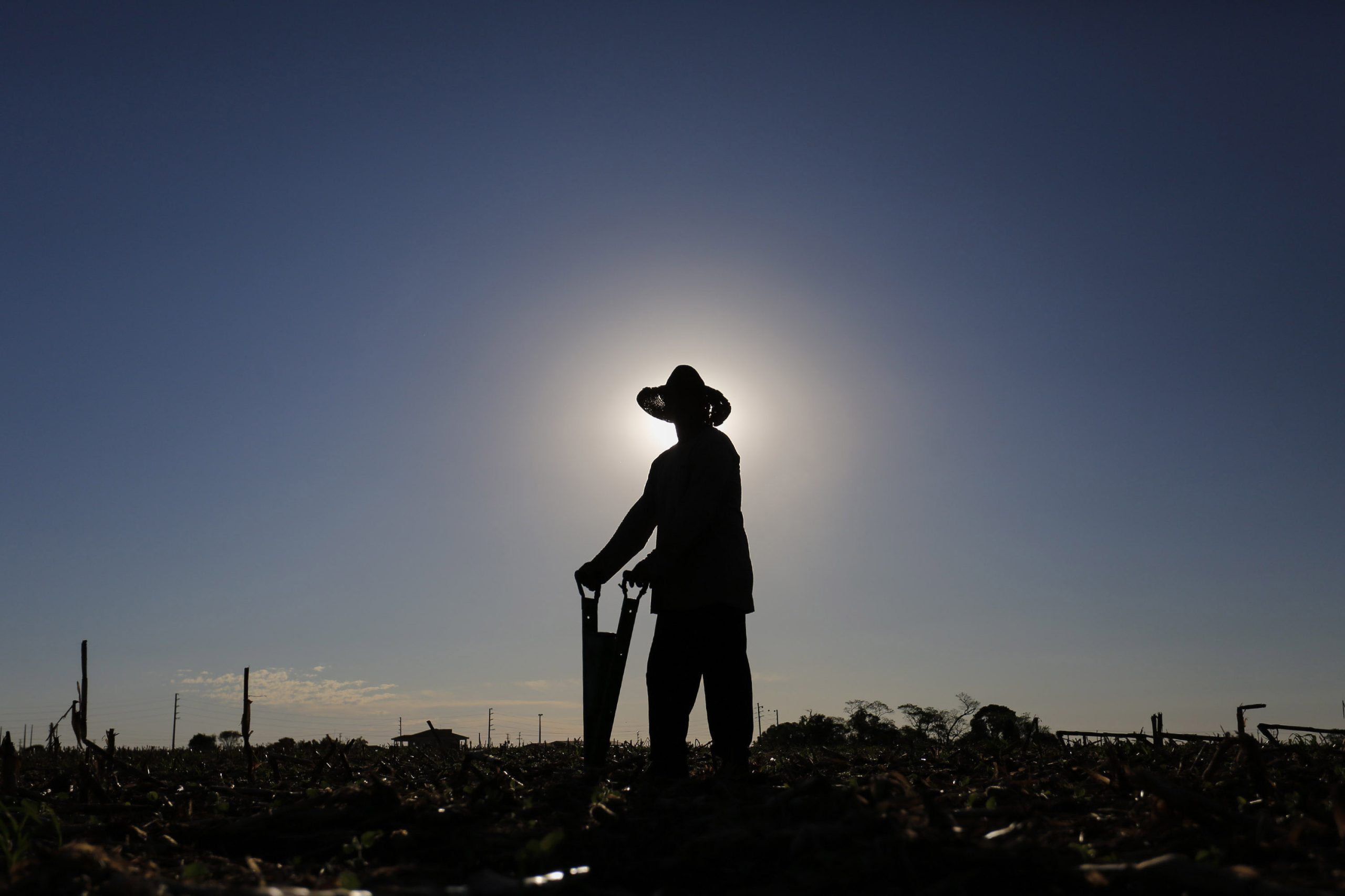 Nota Fiscal do Produtor Rural NFP-e