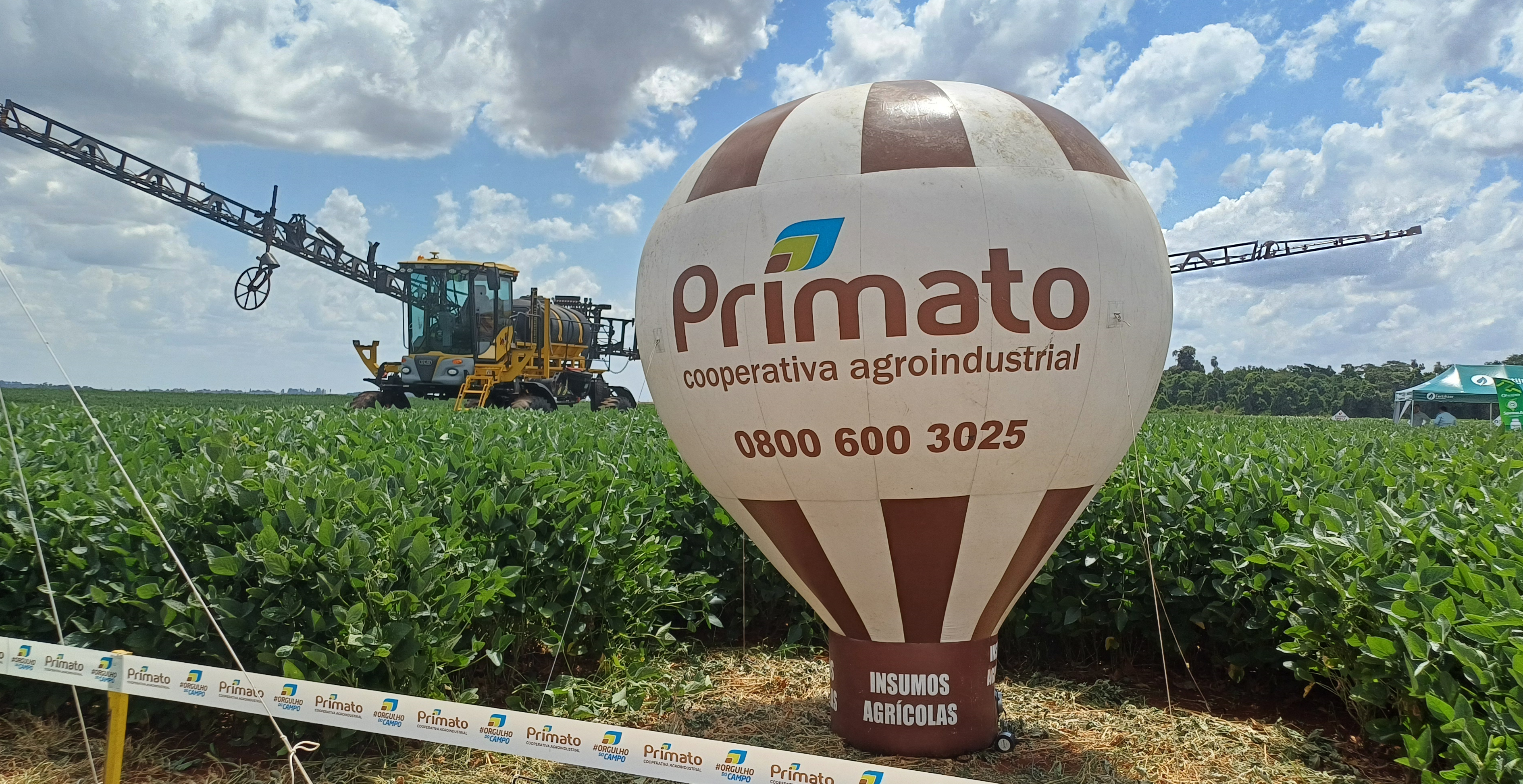 Dia de Campo Primato