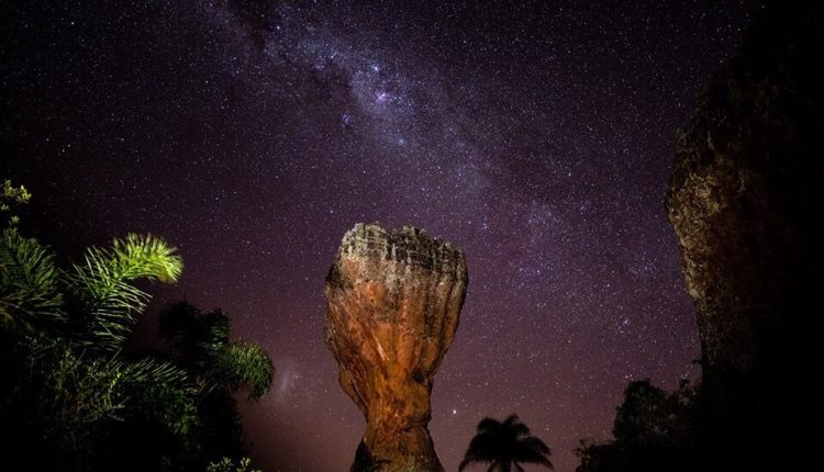 taca parque vila velha caminhada noturna. creditos sergio mendonca