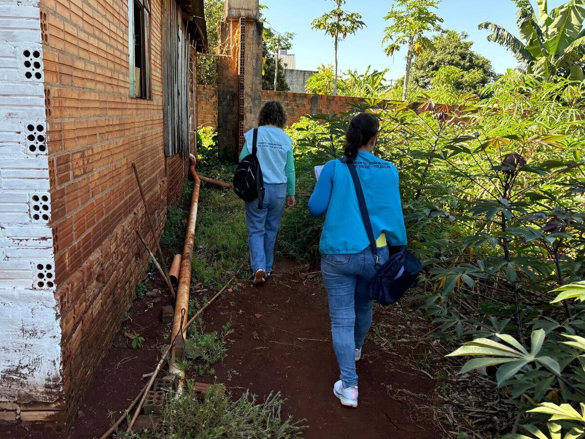 arrastão contra dengue
