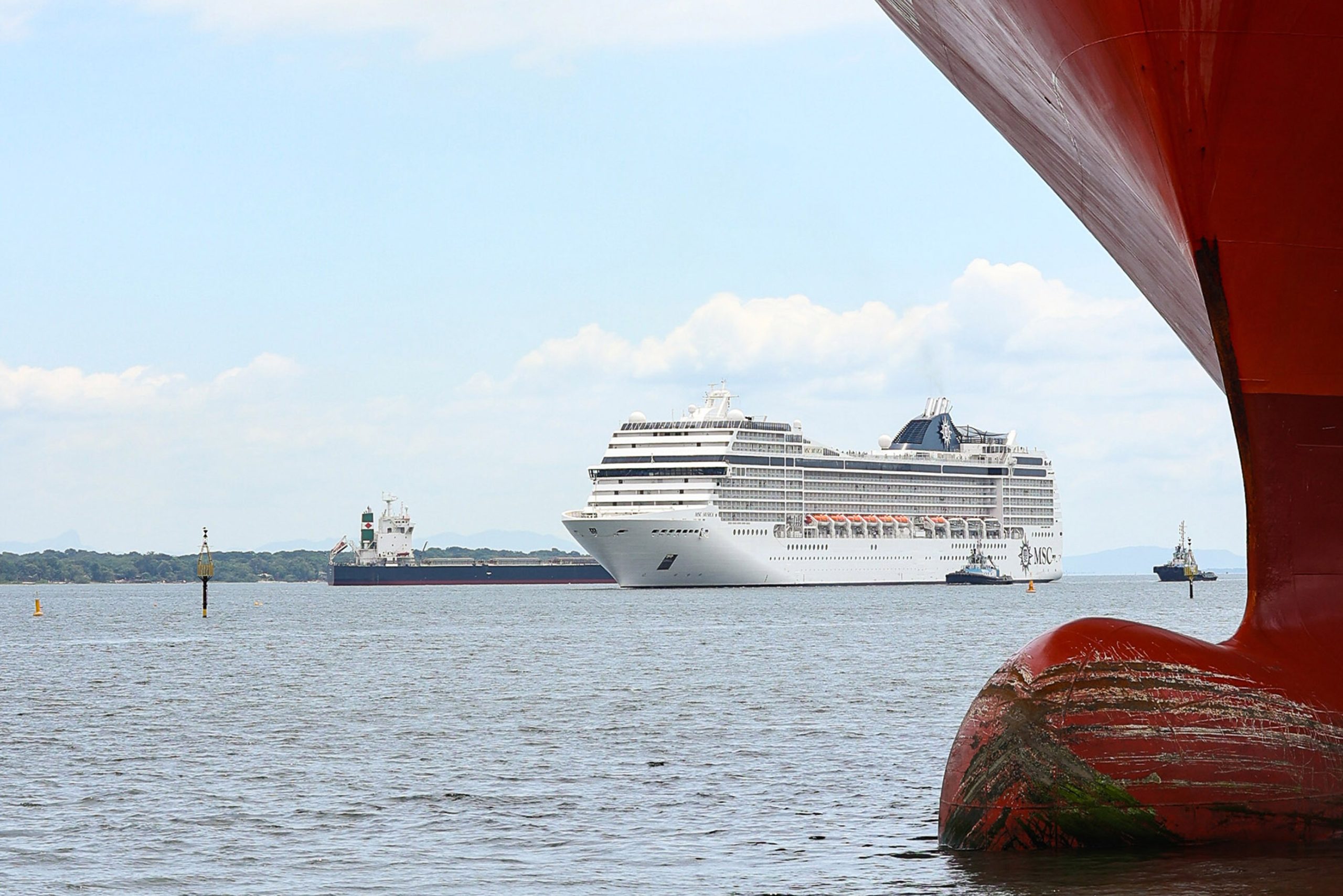 cruzeiro MSC Armonia