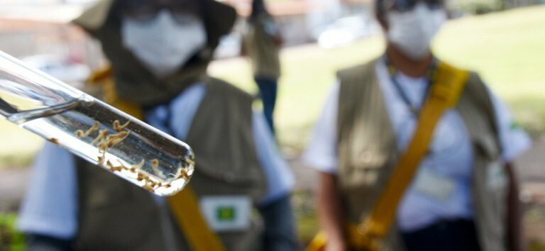 Casos de dengue aumentam no verão: entenda o motivo  