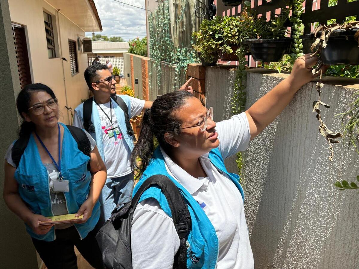 arrastao da dengue em toledo