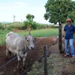 Para o produtor Laurindo Welter (65), fornecer para o município é sinônimo de segurança. “É pagamento certo”. Crédito: Prefeitura de Toledo