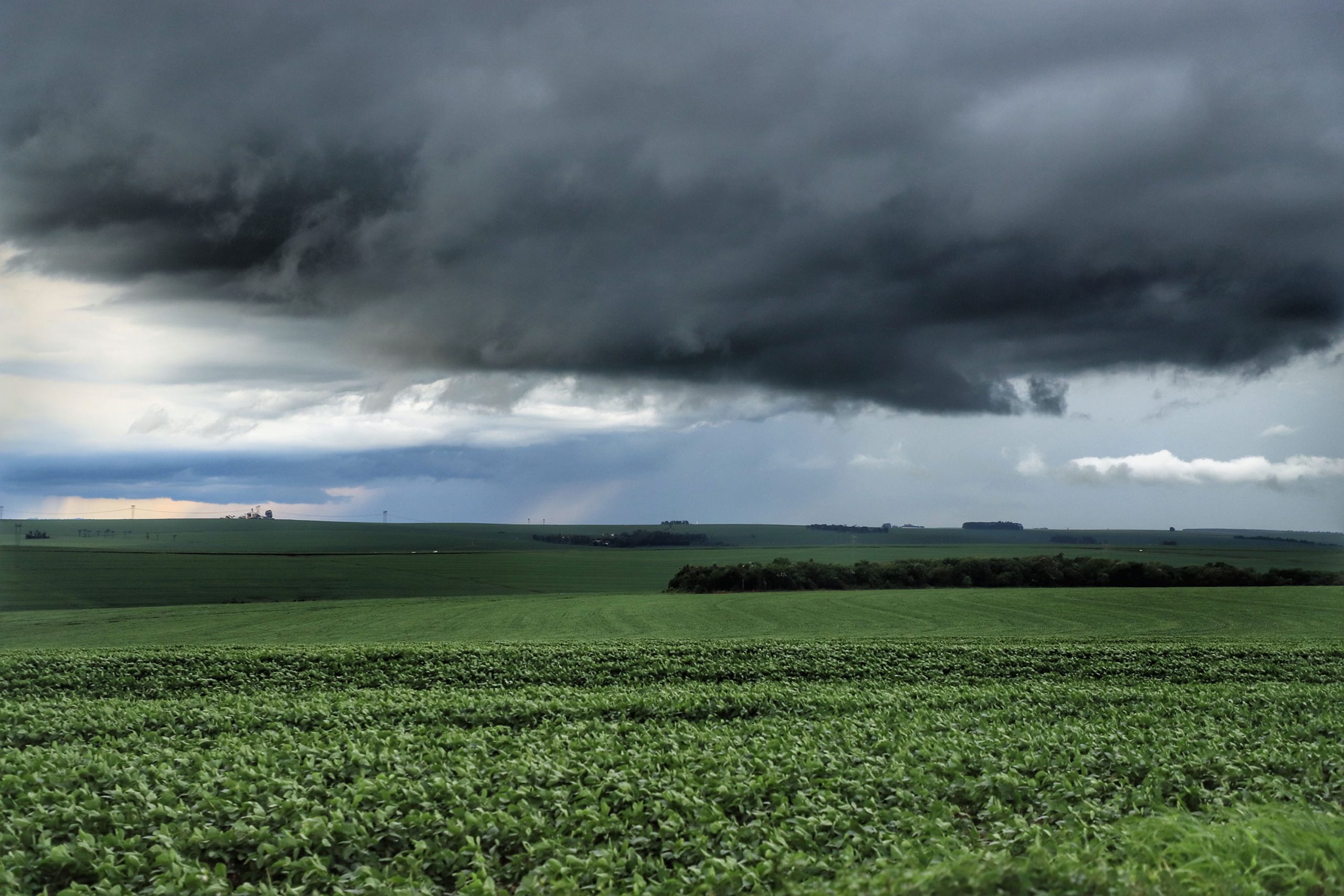 Agricultura no Paraná