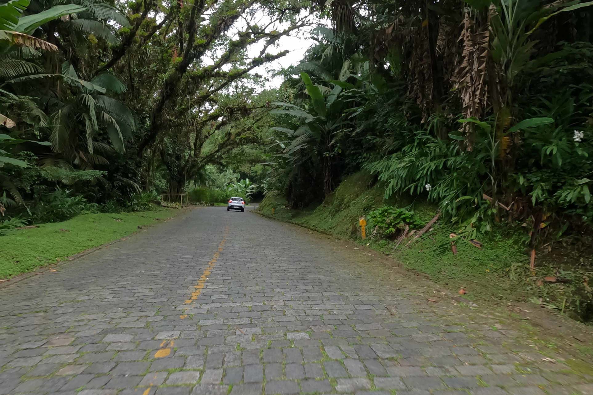 Estrada da Graciosa