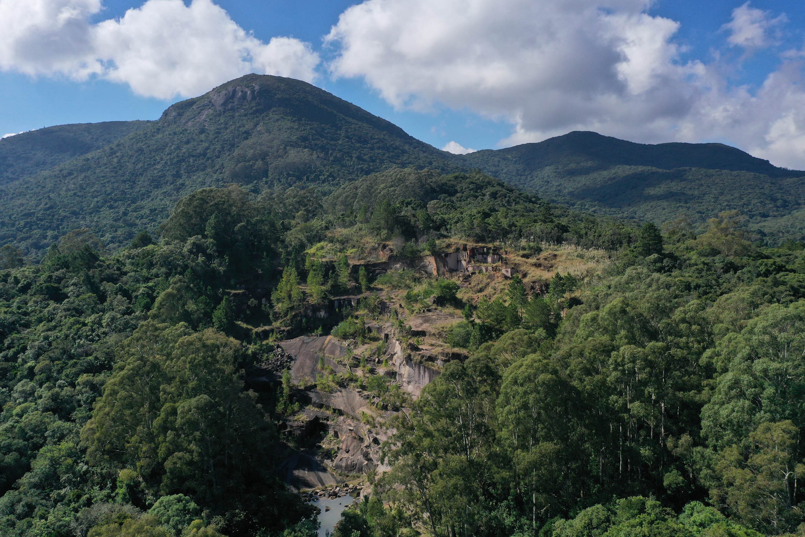 conscientização ambiental