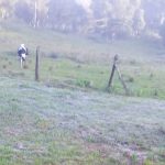 temperatura