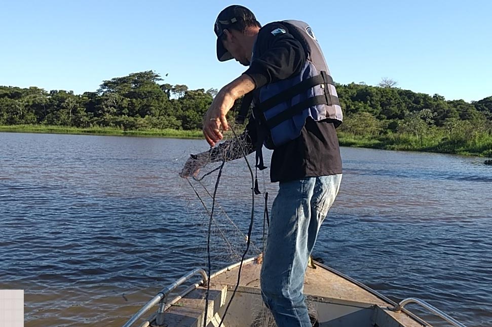 pesca