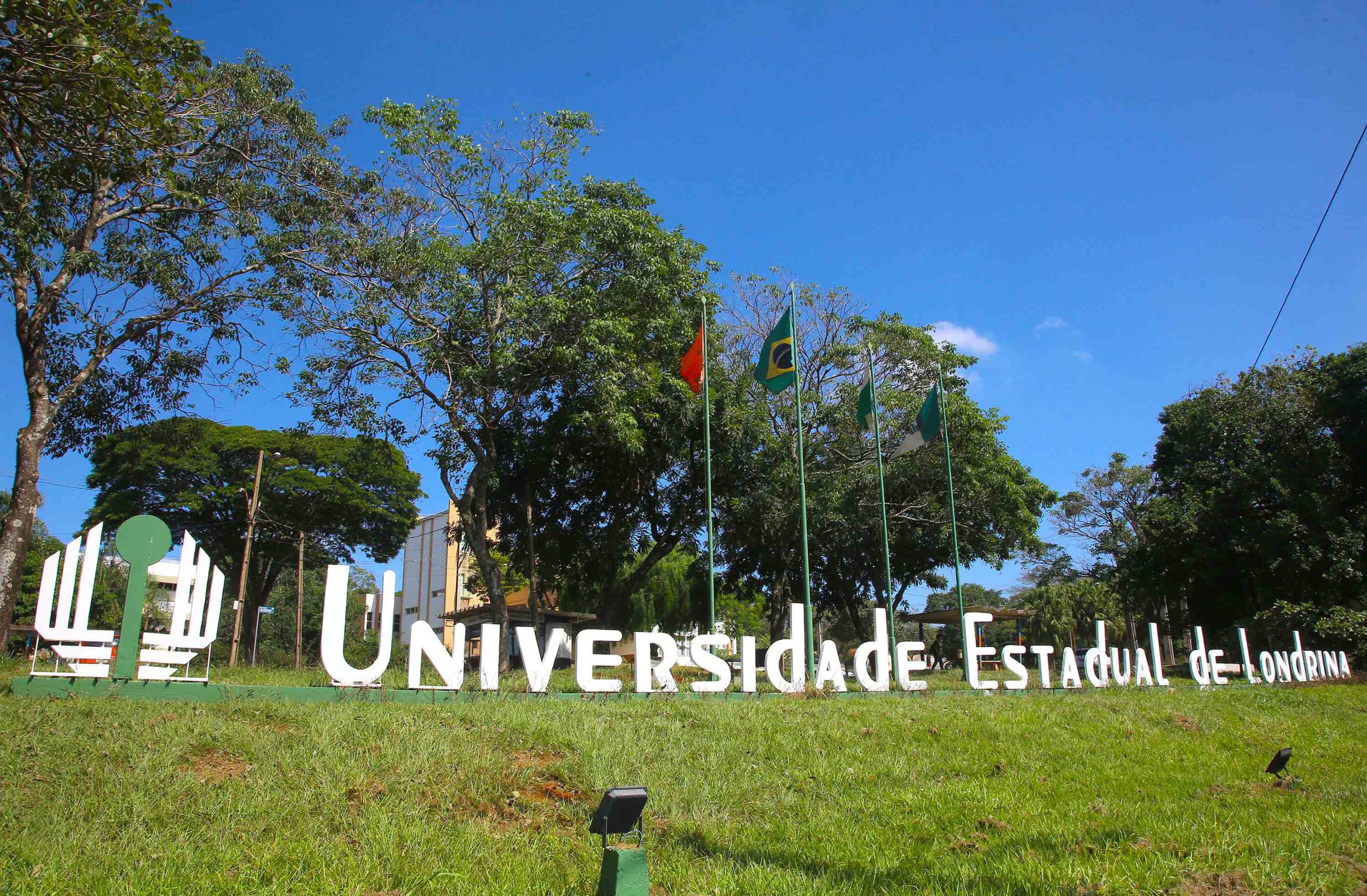 Universidade