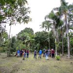 Portos do Paraná