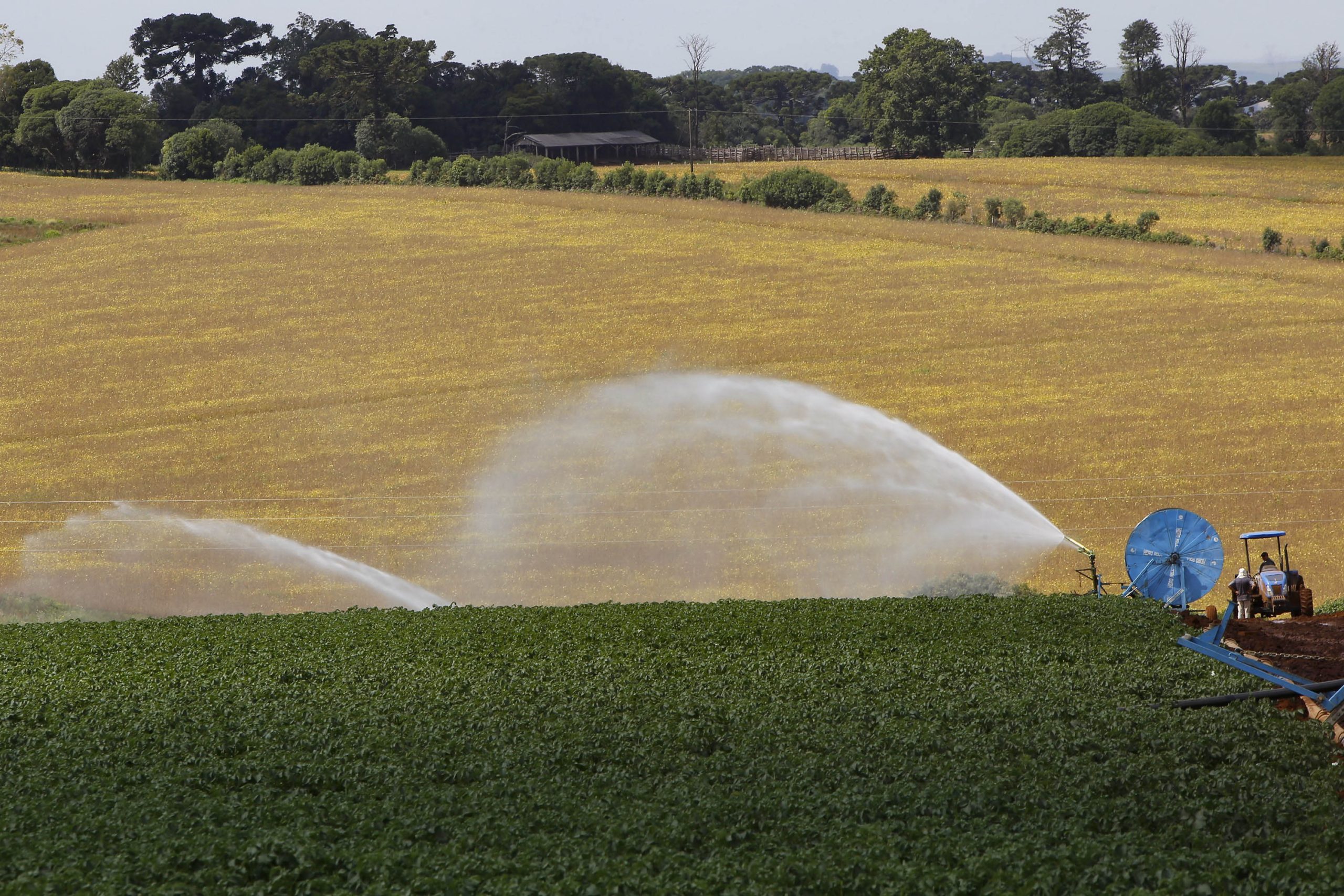 Banco do Agricultor