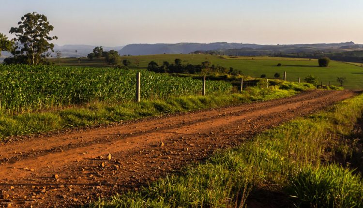 Justiça Federal decidiu pela irregularidade dos títulos de domínio emitidos pelo Estado sobre terras da União localizadas em Palotina Crédito: Faep