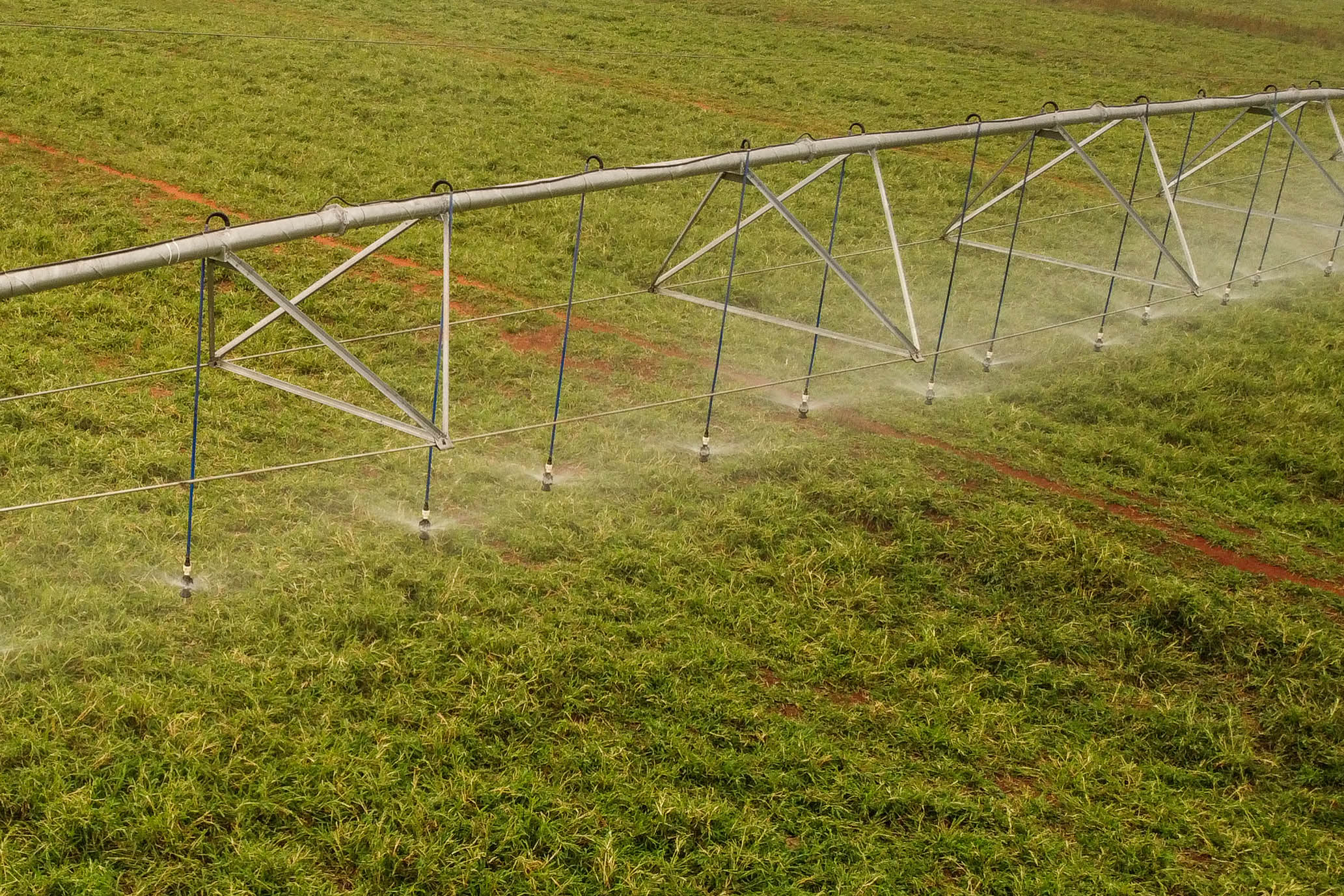 Construção de poços artesianos e implantação de projetos de irrigação são algumas das ações estabelecidas pelo Governo do Paraná para combater a estiagem. Crédito: Geraldo BubniaAEN