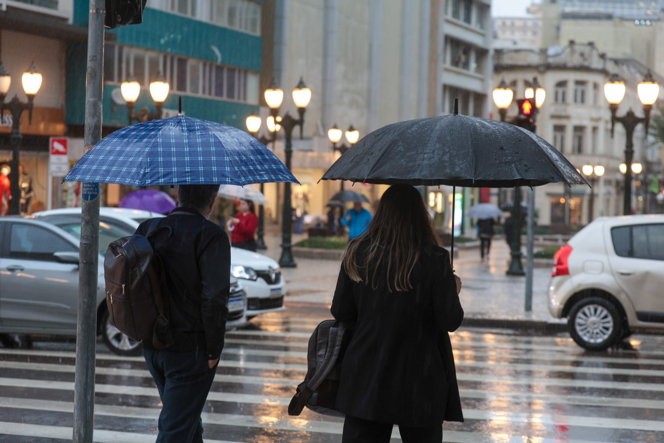Geada negra, ventos fortes e 0°C até no Oeste: terça será o dia mais gelado do ano no Paraná Crédito: Geraldo Bubniak/AEN