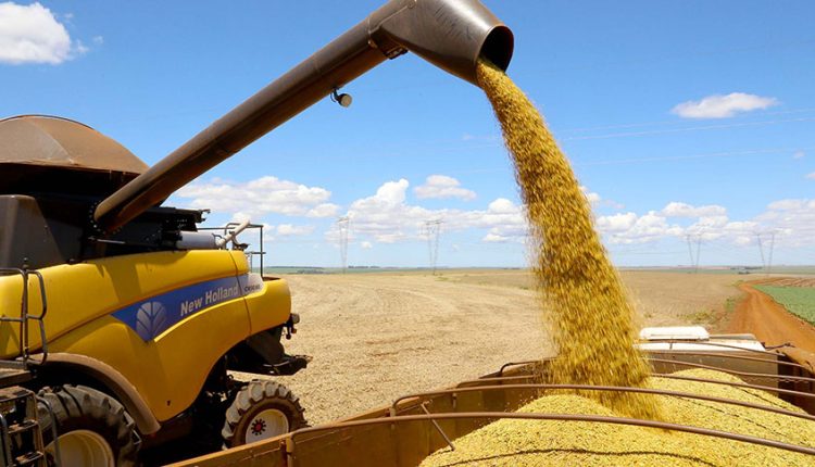 Com expectativa de safra recorde de soja, Agropecuária registrou crescimento de 12,2% em relação ao último trimestre de 2024 - Foto: Jaelson Lucas/AEN-PR