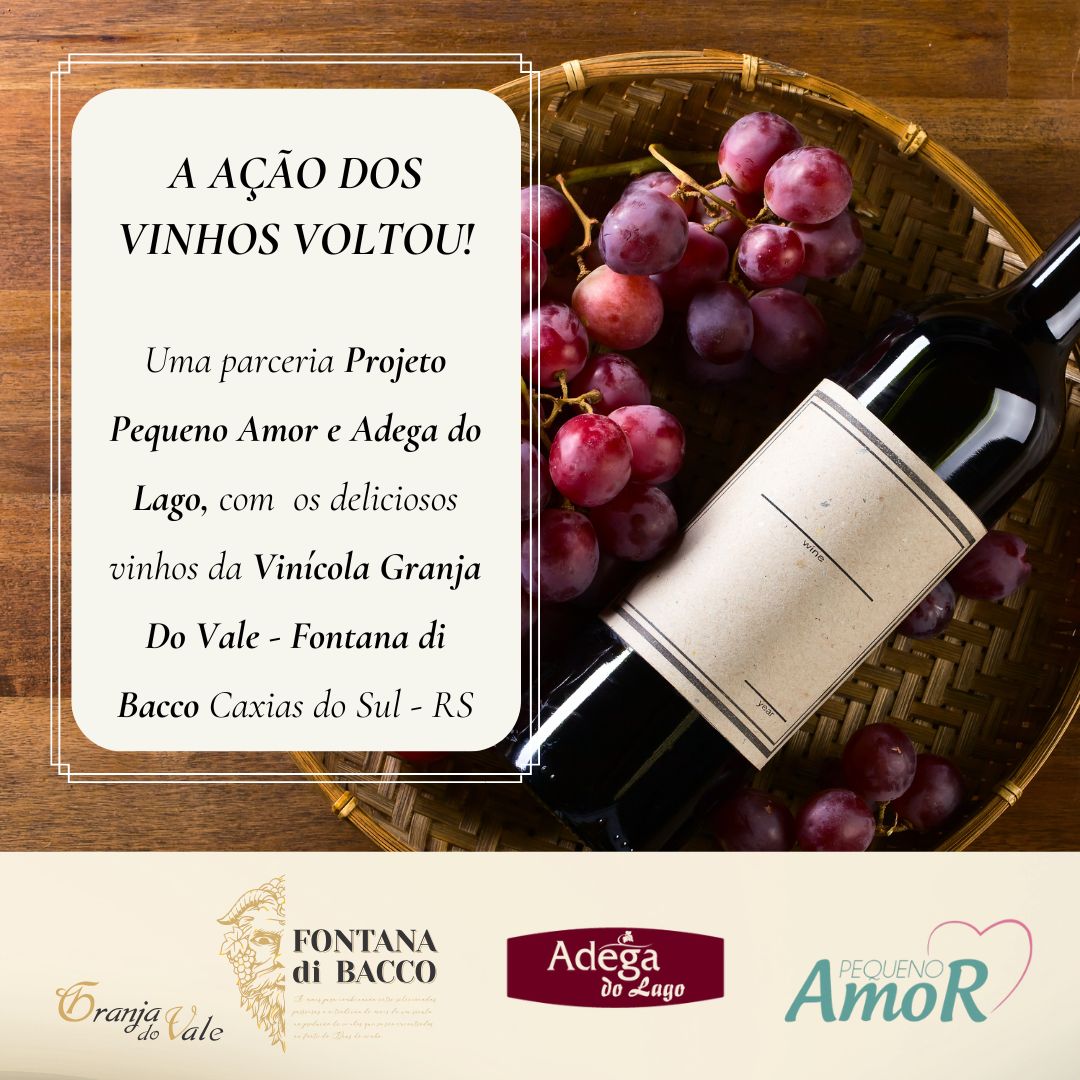 Projeto Pequeno Amor lança festival de vinhos