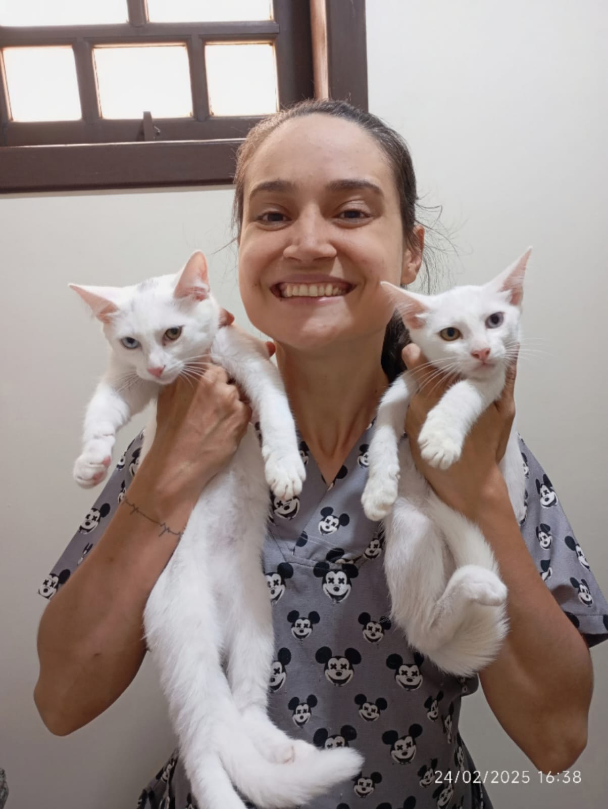 A veterinária Evelyn Marchioro destaca os cuidados com os felinos Créditos: Arquivo pessoal