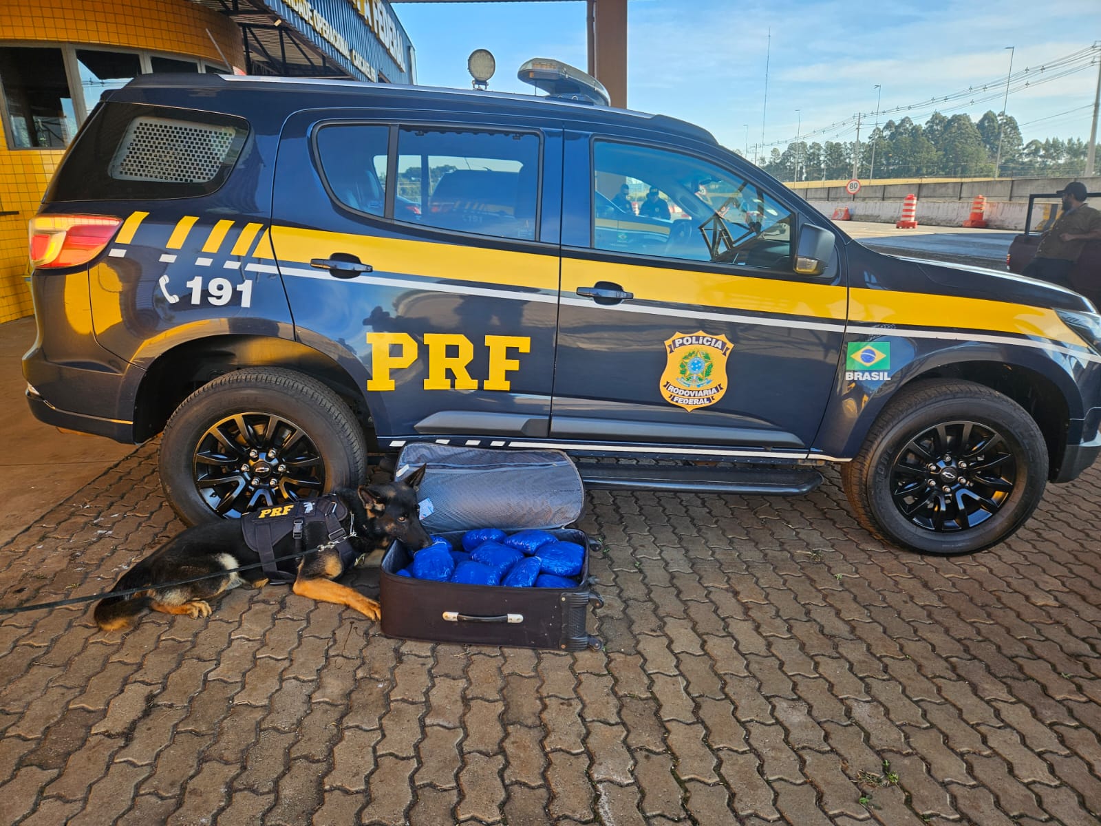 Cães farejadores localizaram a droga no bagageiro do veículo durante fiscalização em Cascavel Crédito: PRF