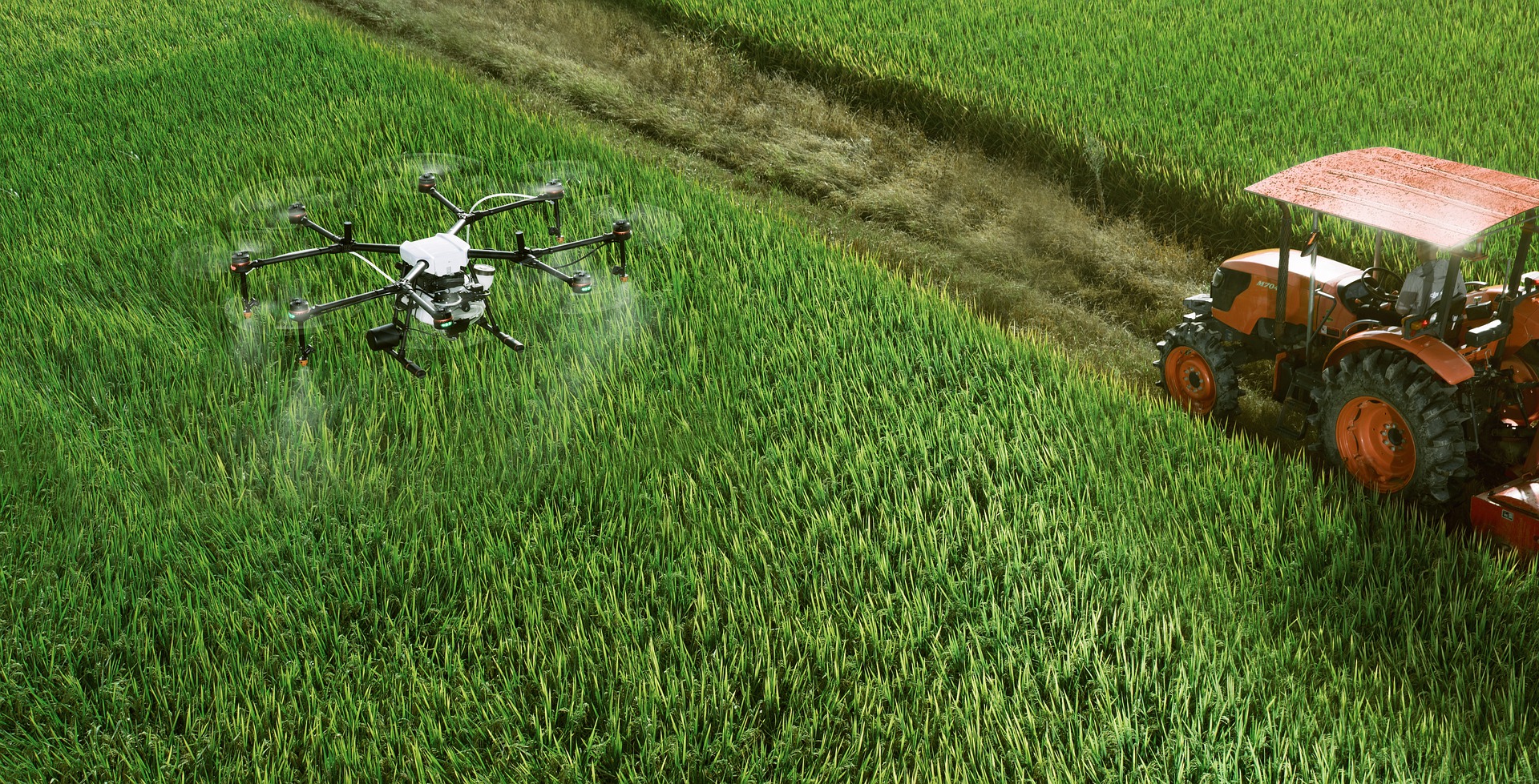 O agronegócio se destaca pelo uso de soluções tecnológicas com inteligência artificial em drones Crédito: Pixabay