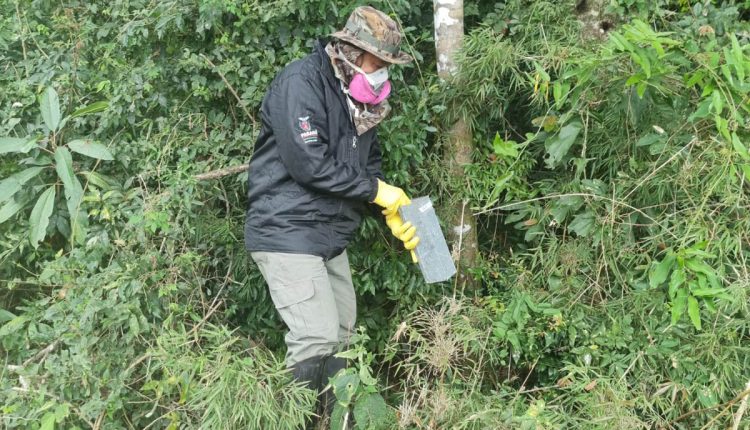 vigilância ambiental