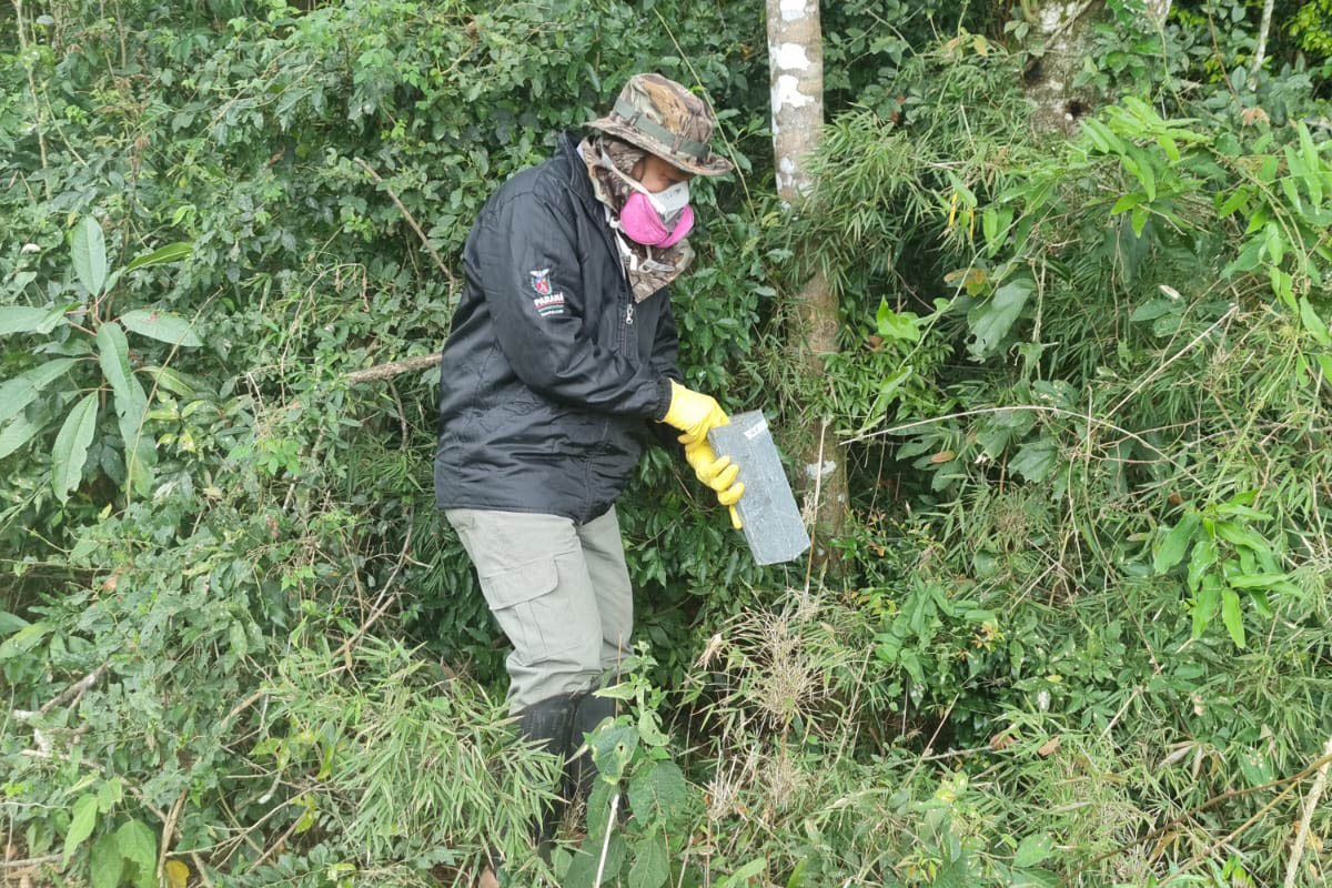 vigilância ambiental