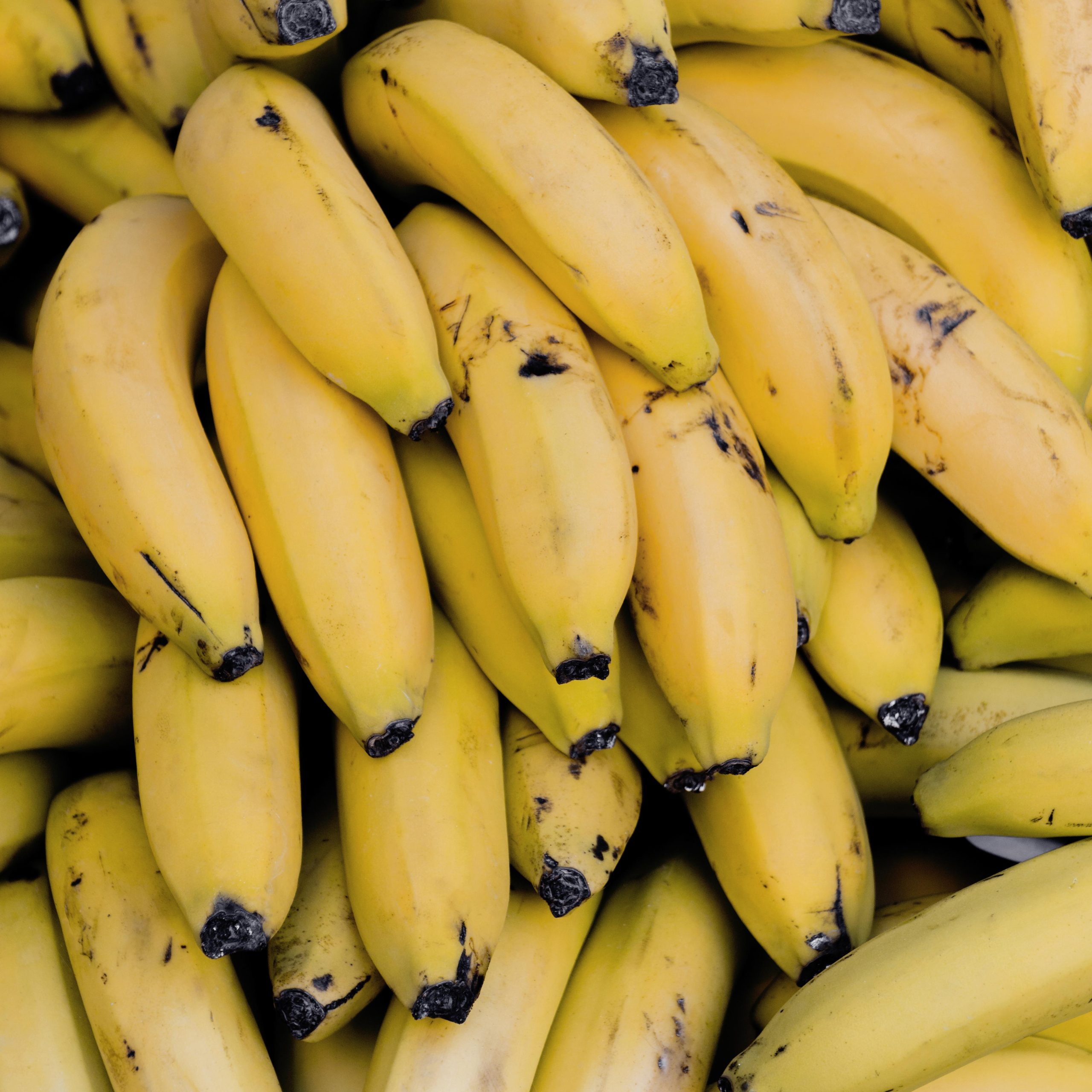 A redução no preço da banana e do pão francês representaram o maior impacto para a redução do índice Crédito: Freepik