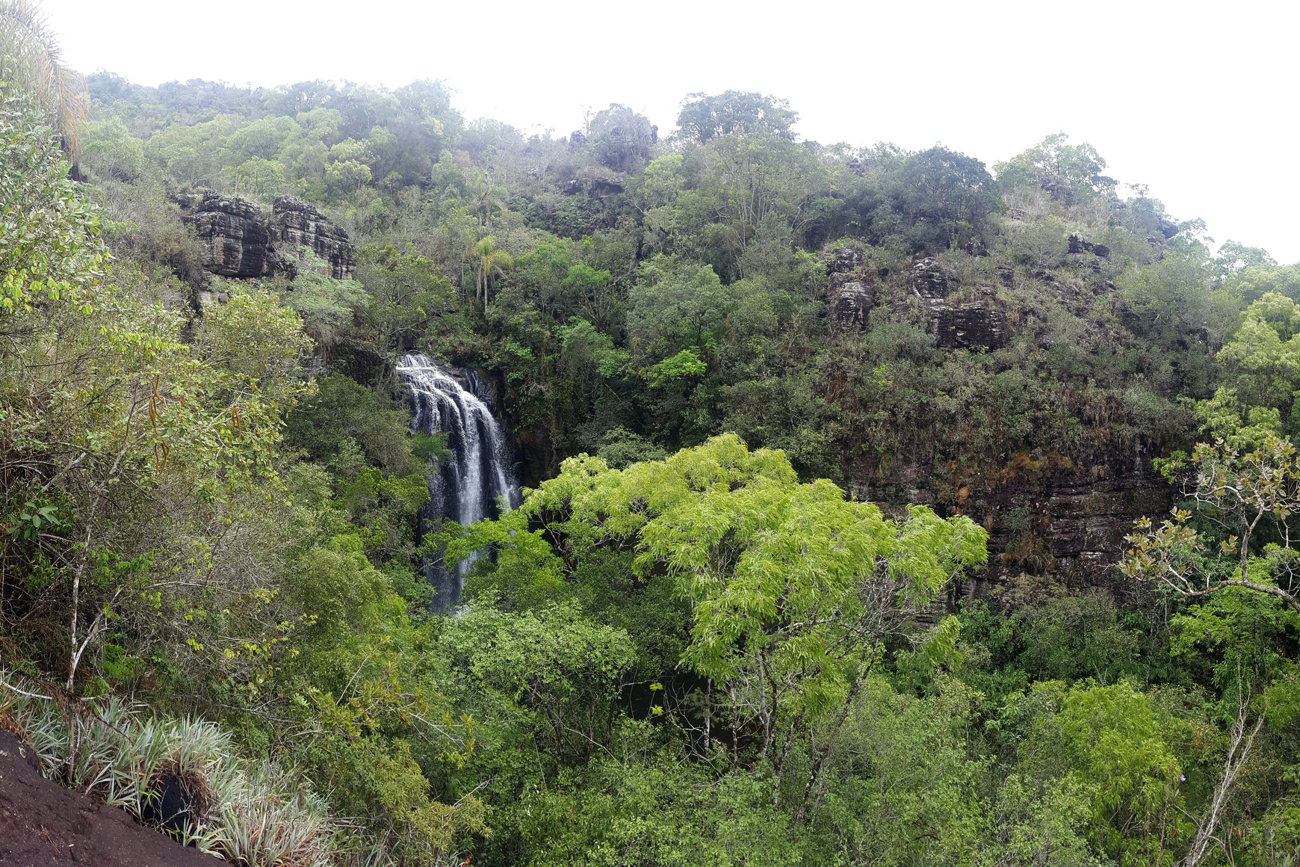 biodiversidade
