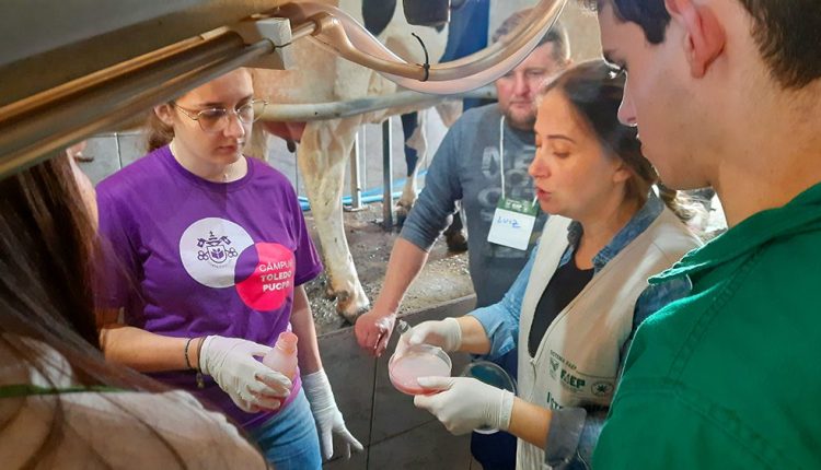 O curso Qualidade do Leite está sendo atualizado para atender as necessidades de produção e a demanda do pecuarista Crédito: Sindicato Rural de Toledo