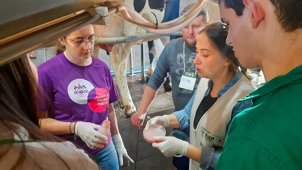 O curso Qualidade do Leite está sendo atualizado para atender as necessidades de produção e a demanda do pecuarista Crédito: Sindicato Rural de Toledo