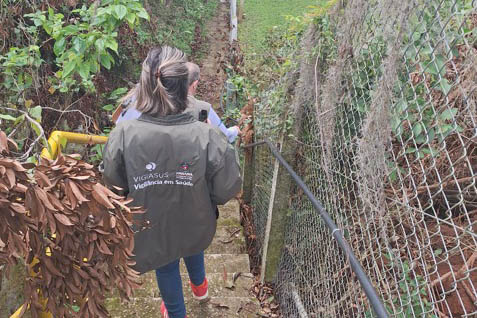 vigilância