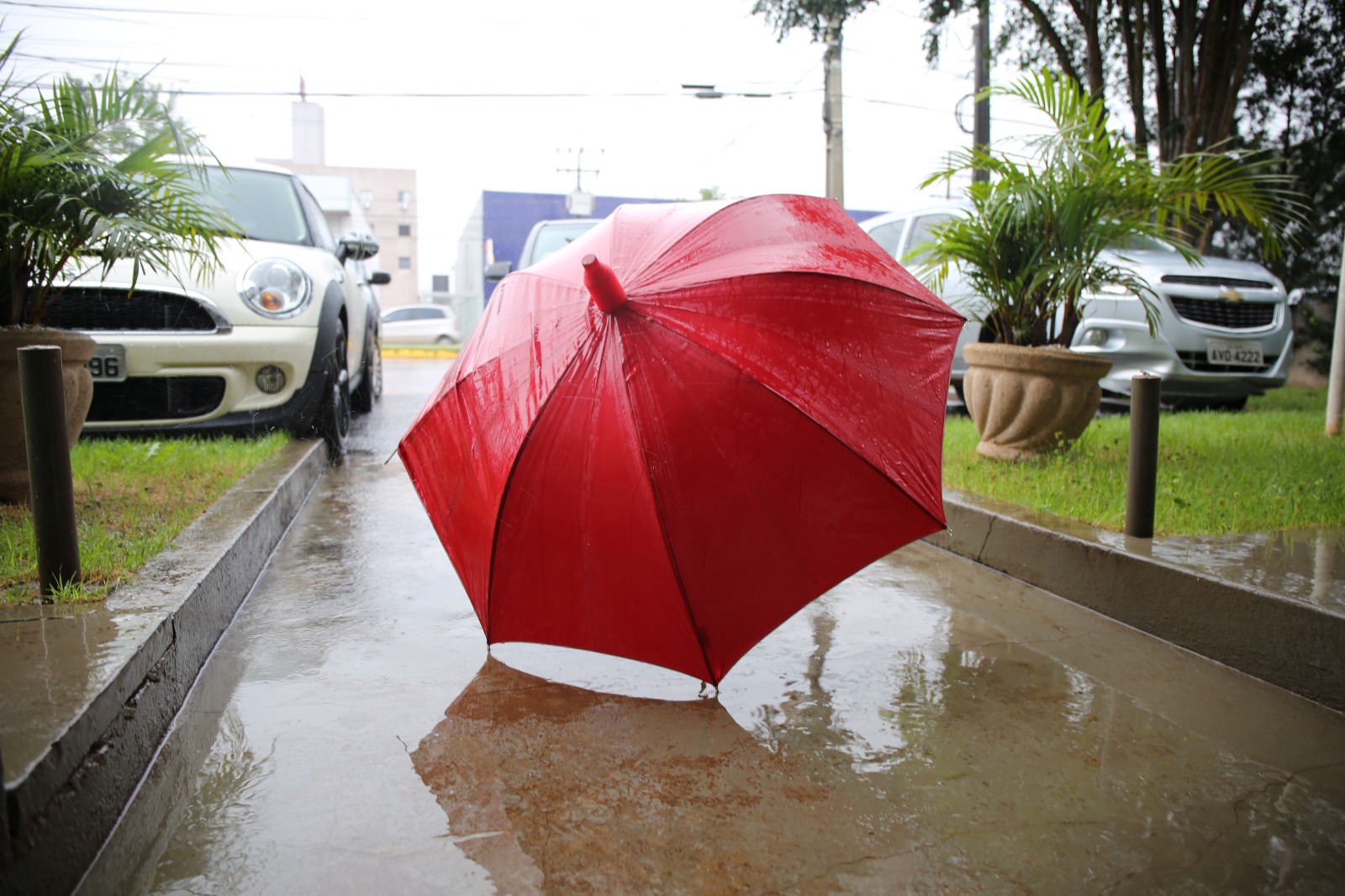 Para esta quinta-feira chuvosa, a Simepar indica precipitação de 17mm Crédito: Arquivo JO