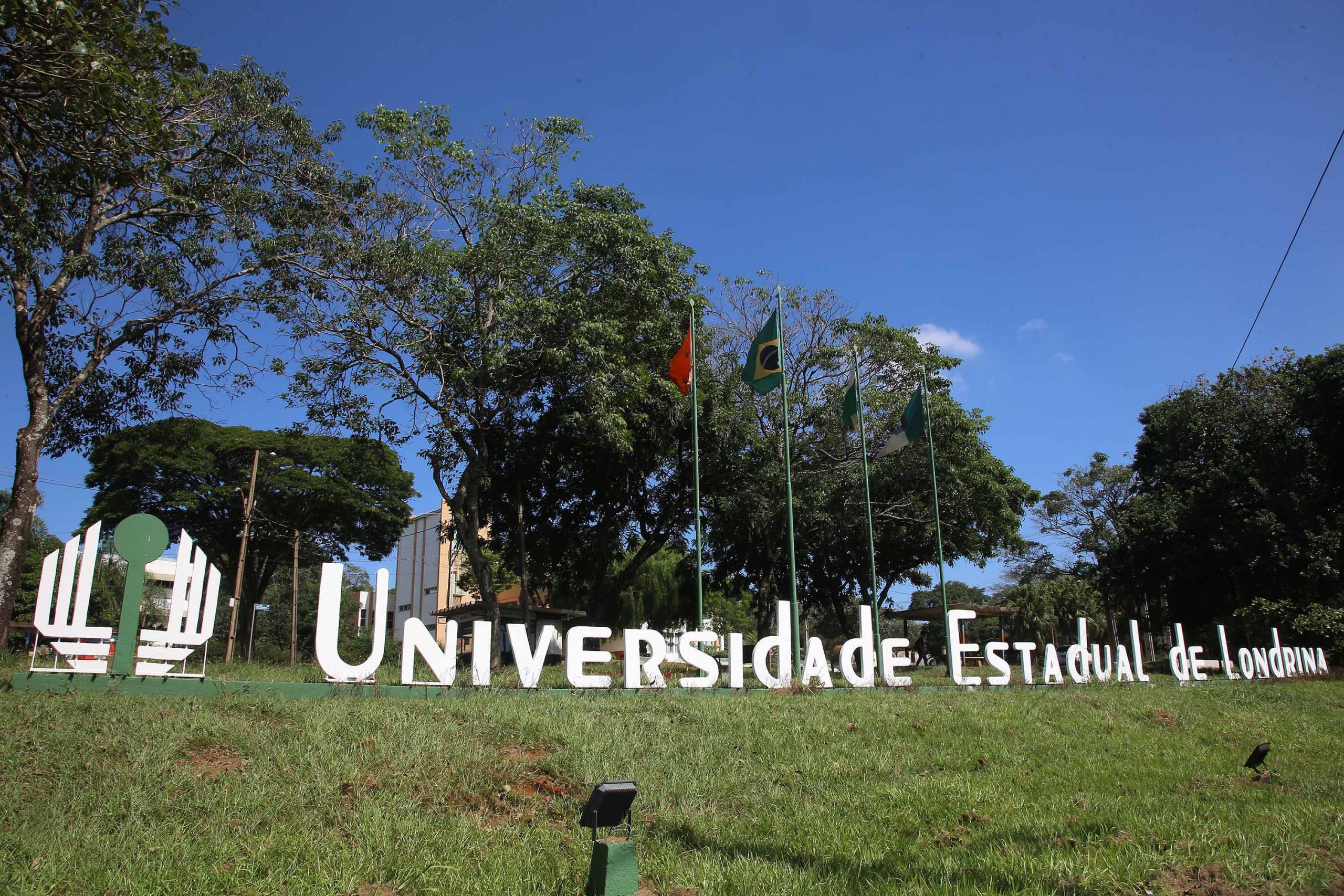UEL abre inscrições para concurso de docentes: salário de R$ 17,4 mil Crédito: Jaelson Lucas/Arquivo AEN