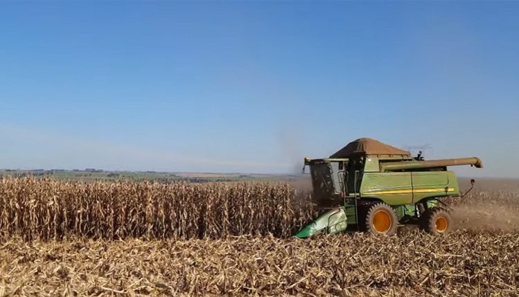 A recomendação é de que, ao avistar os maquinários e caminhões, o motorista pratique a direção defensiva Crédito: Sindicato Rural de Toledo