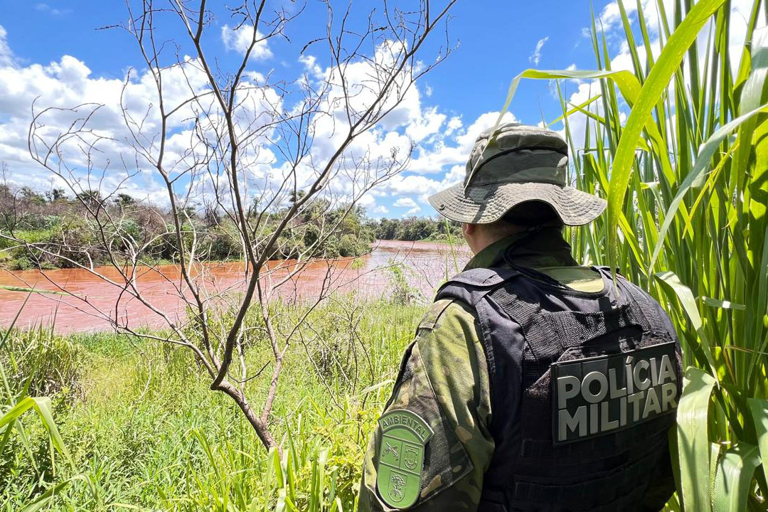 PMPR resgata 216 animais e interrompe desmatamento ilegal de 159 hectares em junho Crédito: SESP-PR
