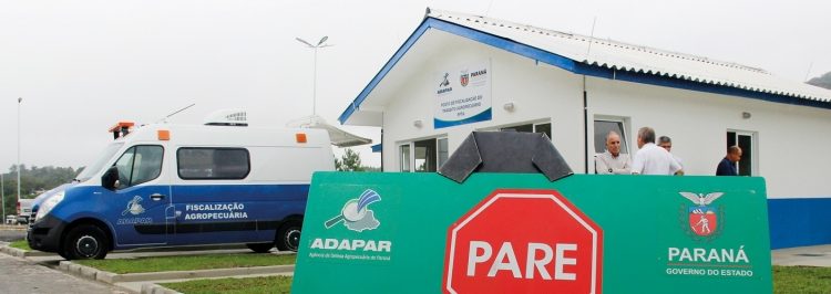 Para quem trafega pelas estradas com cargas de animais suscetíveis à febre aftosa continua obrigatória a comprovação dos cuidados sanitários Crédito: FAEP