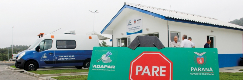 Para quem trafega pelas estradas com cargas de animais suscetíveis à febre aftosa continua obrigatória a comprovação dos cuidados sanitários Crédito: FAEP