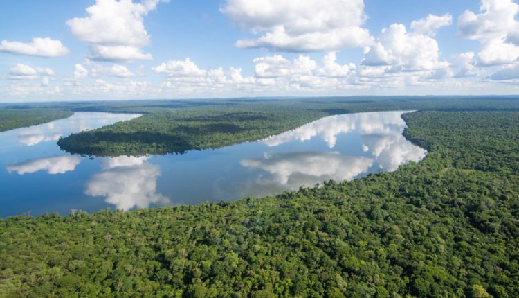 Rio Iguaçu