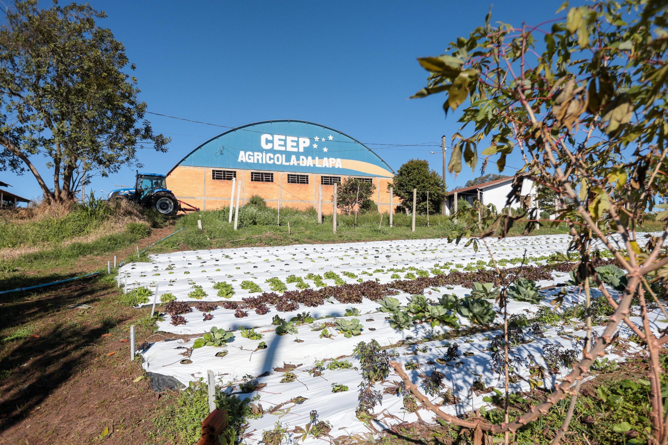 O avanço é um dos reflexos da transformação que já abrange 21 dos 26 colégios agrícolas e florestais do Paraná Crédito: Geraldo Bubniak/AEN