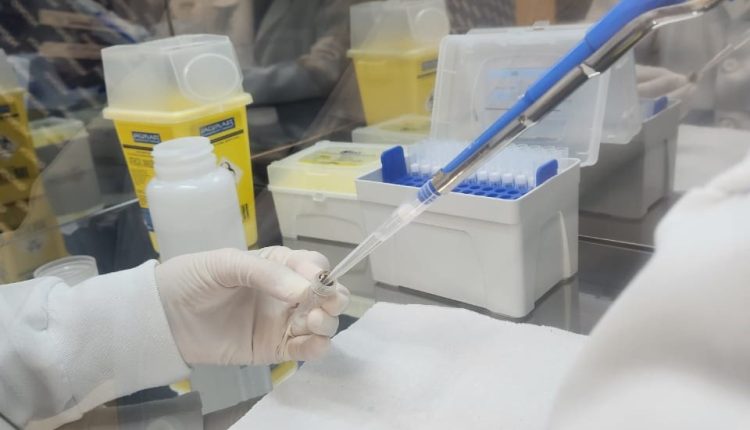 Paraná lança NAPI para avançar em saúde pública de precisão com foco em genômica Crédito: NAPI Genômica