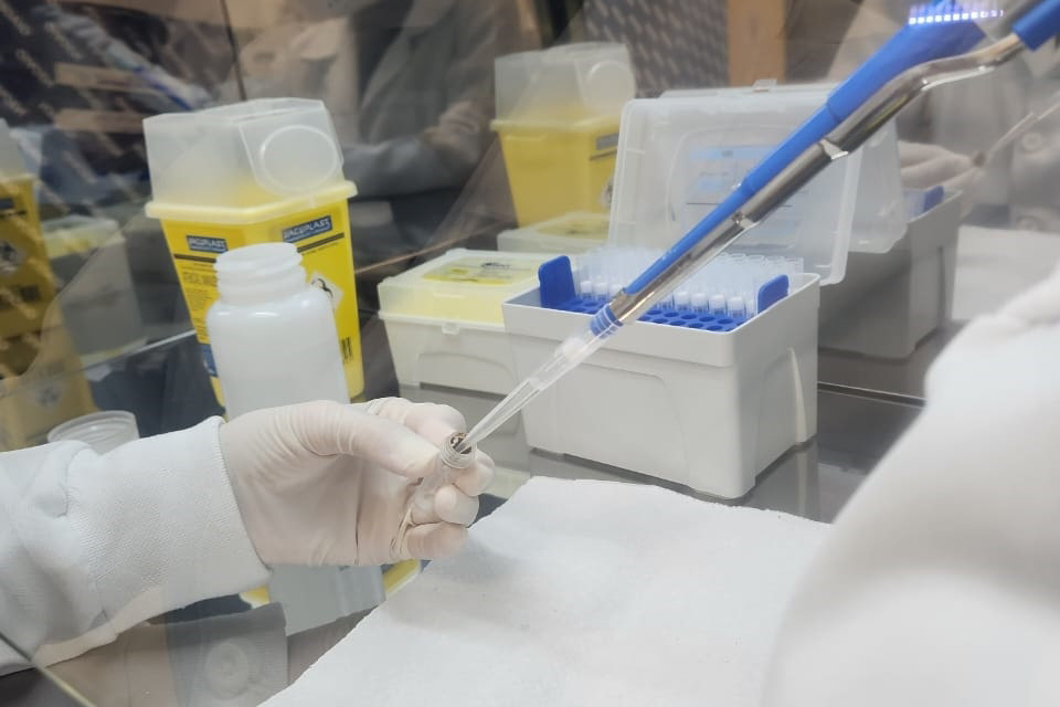 Paraná lança NAPI para avançar em saúde pública de precisão com foco em genômica Crédito: NAPI Genômica