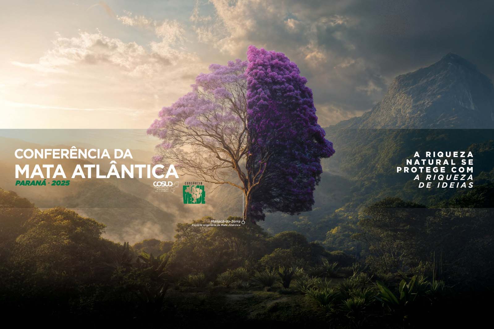 Mata Atlântica
