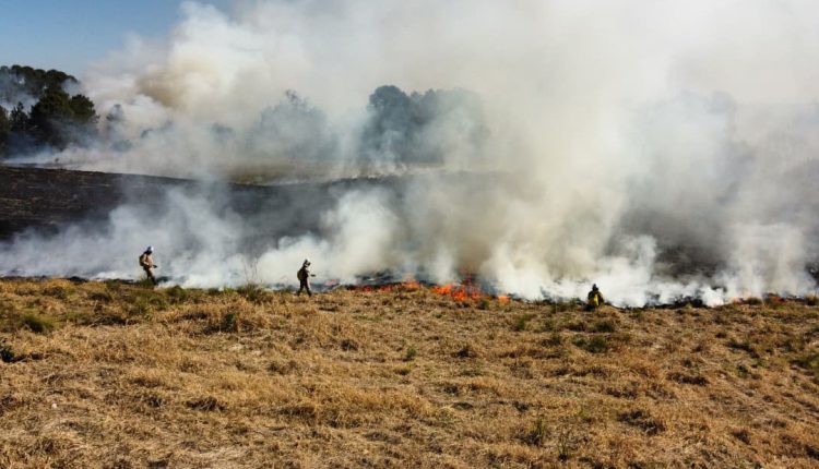 Fogo em terrenos baldios pode causar incêndios de grandes proporções Crédito: Mariano Gomes