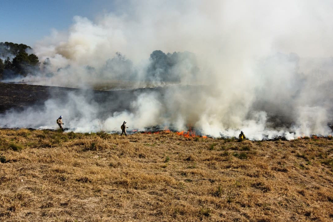 Fogo em terrenos baldios pode causar incêndios de grandes proporções Crédito: Mariano Gomes